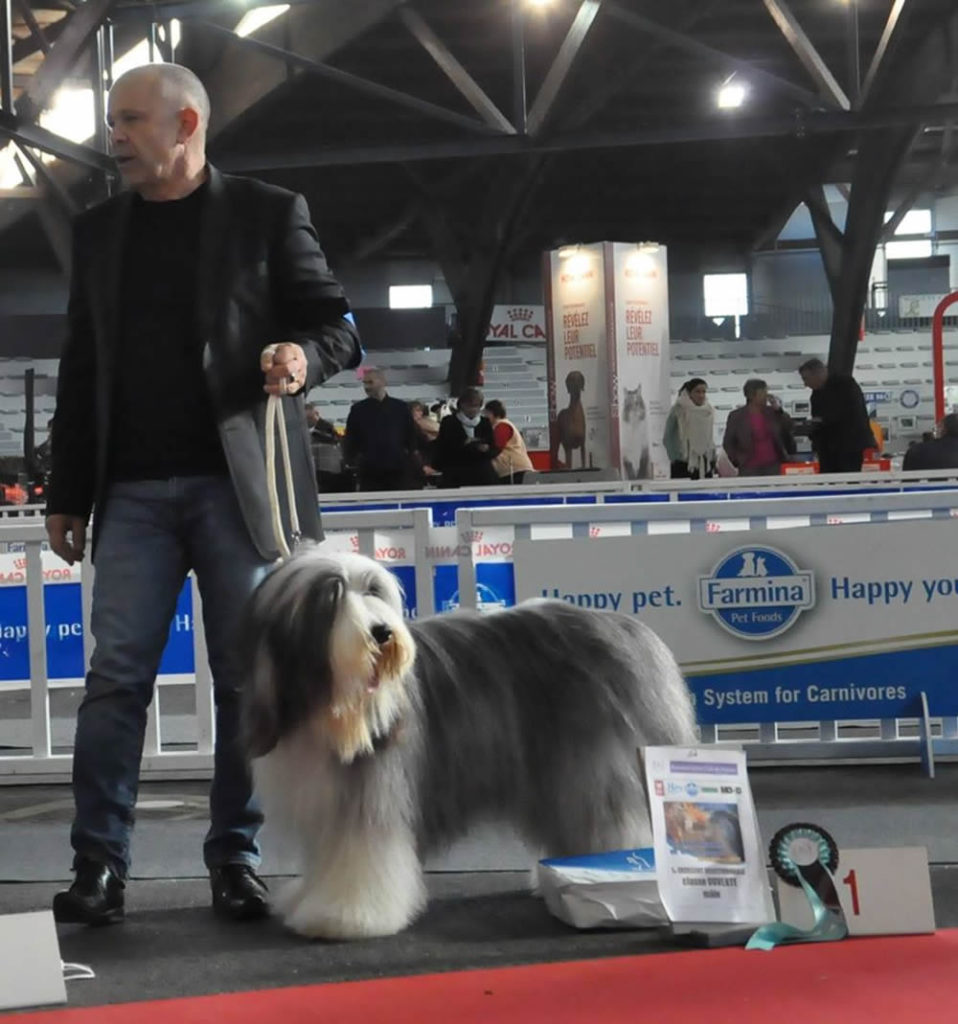 CAC TYSON DE CHESTER