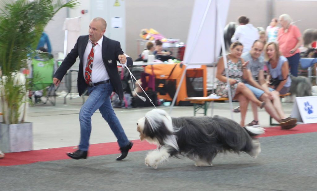 Euro dog show